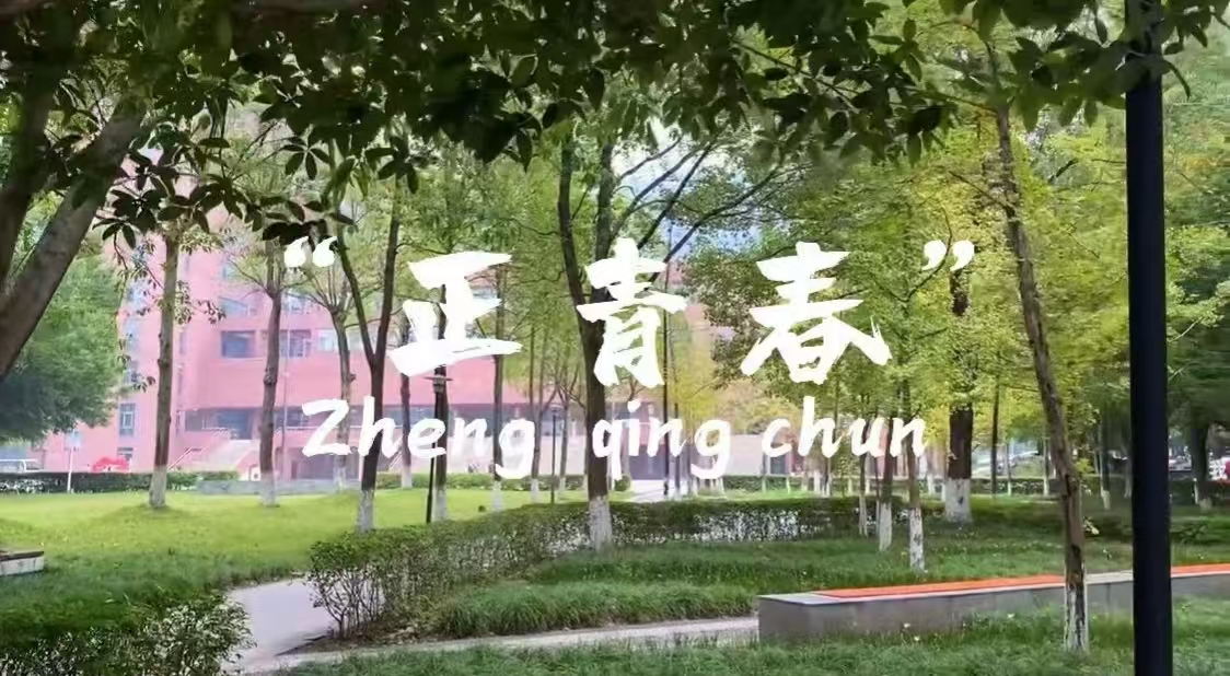 7 7
